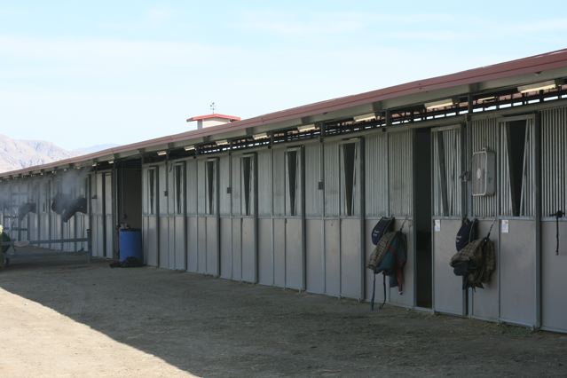 cooling stables