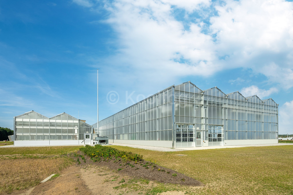 agricultural misting