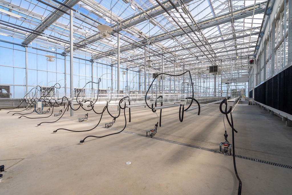 agricultural misting system